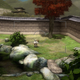 Illustration for article titled More On Shiki-Tei, The PS3 Gardening Game
